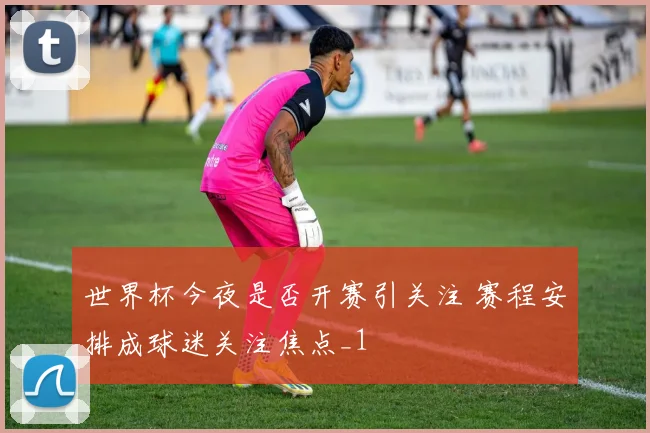 世界杯今夜是否开赛引关注 赛程安排成球迷关注焦点_1