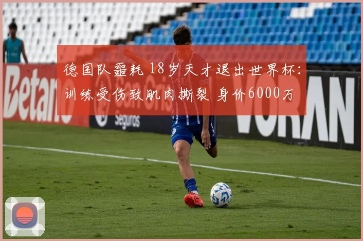 德国队噩耗 18岁天才退出世界杯：训练受伤致肌肉撕裂 身价6000万